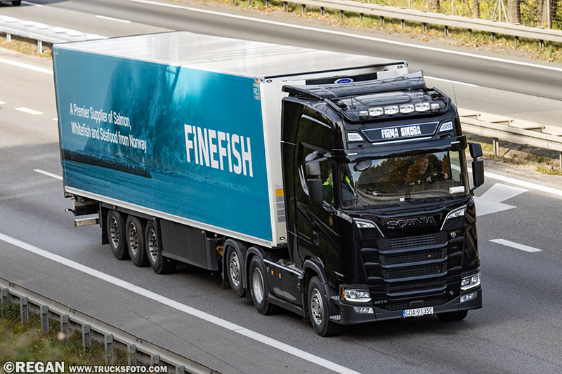 Scania 530S V8 - Firma Sikora.jpg