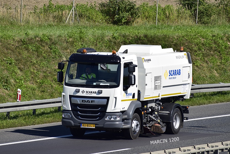 _DSC6455 SCARAB DAF LF-crop----.JPG