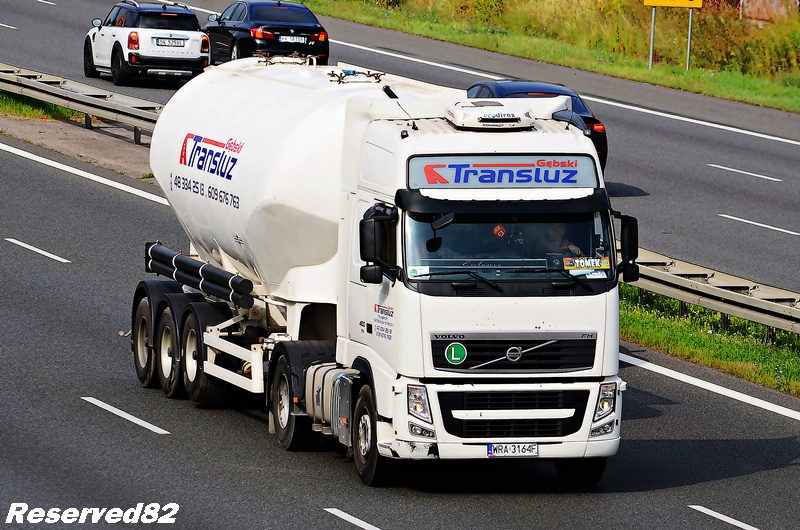 DSC_5124 TRANSLUZ.JPG