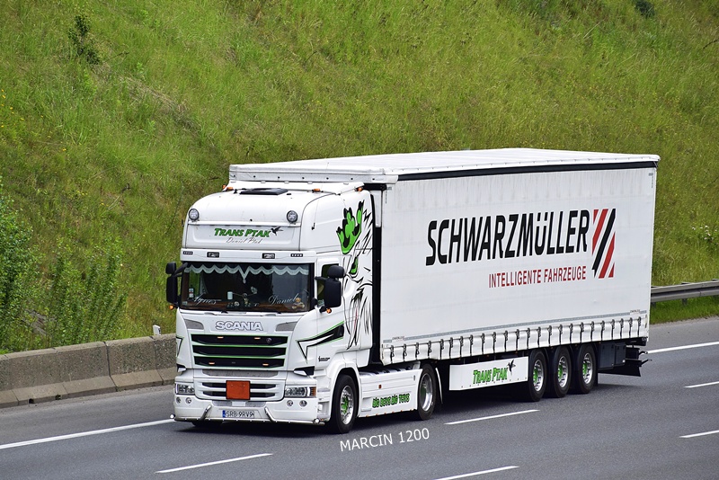 _DSC00011 (810) TRANS PTAK-crop-SCANIA R STREAMLINE.JPG