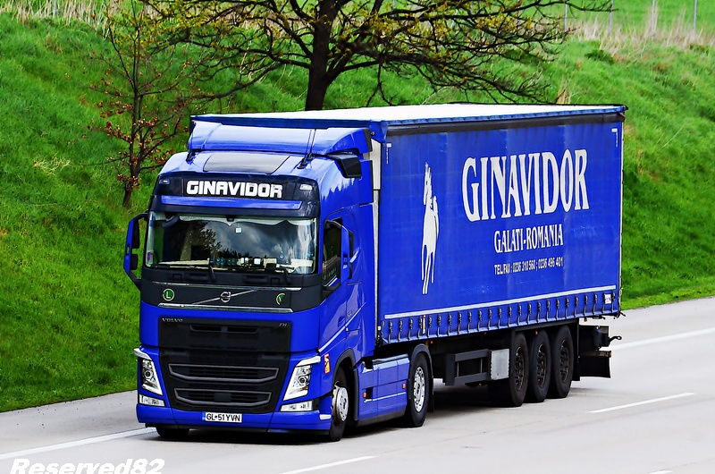 DSC_3098 GINAVIDOR 2.JPG