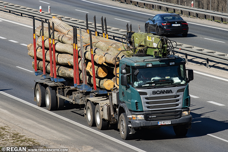 Scania G440 - Wood-Land.jpg