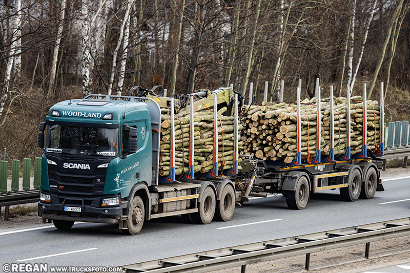 Scania R500 XT - Wood-Land.jpg