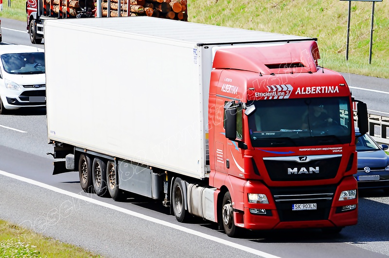 DSC_0171 ALBERTINA.JPG