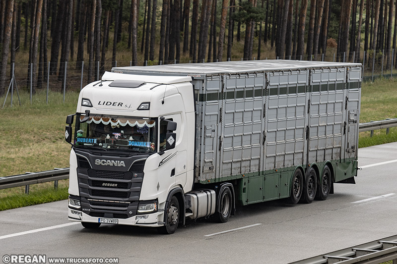 Scania 530S V8 - Lider S.J..jpg