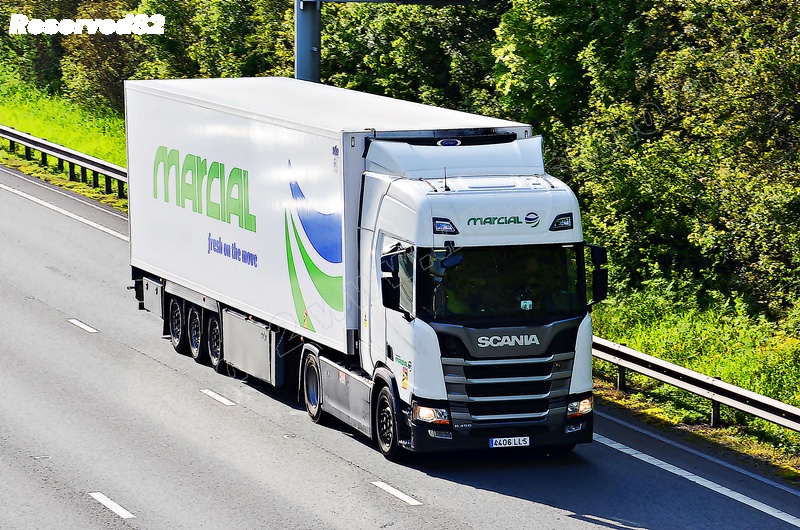 DSC_0694 TMARCIAL.JPG