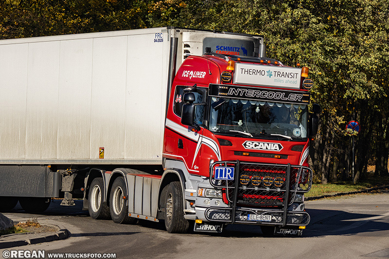 Scania R500 V8 IceLiner.jpg