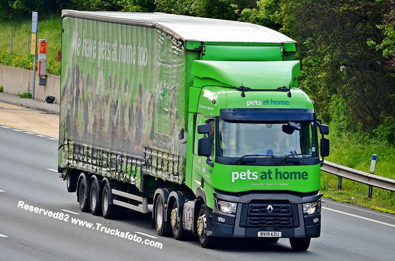 DSC_9529 PETS AT HOME 12.JPG