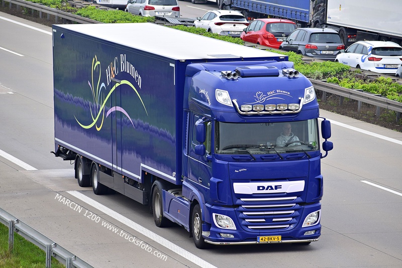 _DSC4312 H&C BLUMEN-crop-DAF XF 106 II.JPG