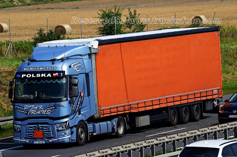 DSC_0101 PTAK TRANS.JPG