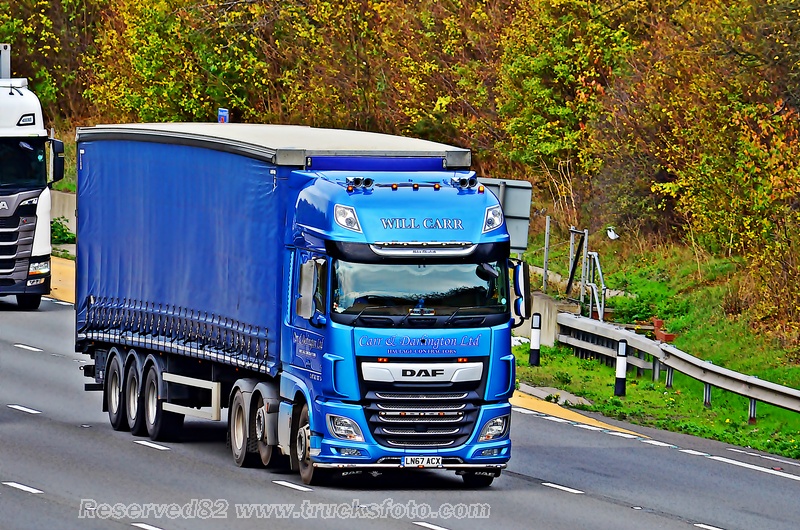 DSC_9037 WILL CARR.JPG