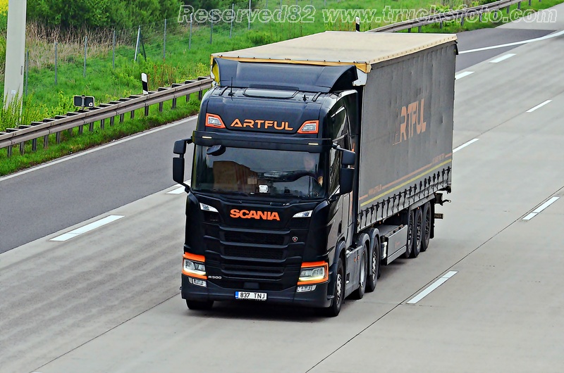 DSC_3458 Artfu(estonia).JPG