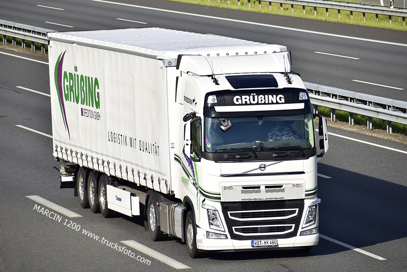 _DSC8033 GRUBING-crop-VOLVO FH4-Grüßing.JPG