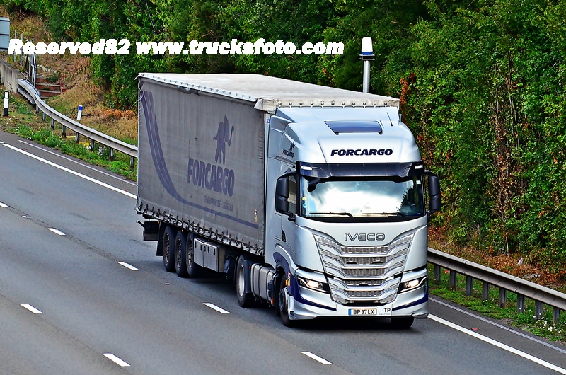 DSC_4415 FORCARGO.JPG