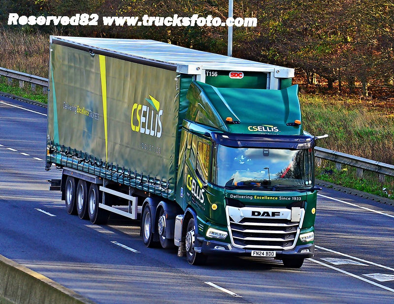 DSC_8917 CSELLIS.JPG