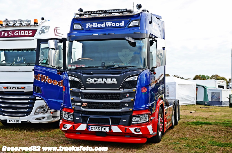 DSC_4657 FelledWood.JPG