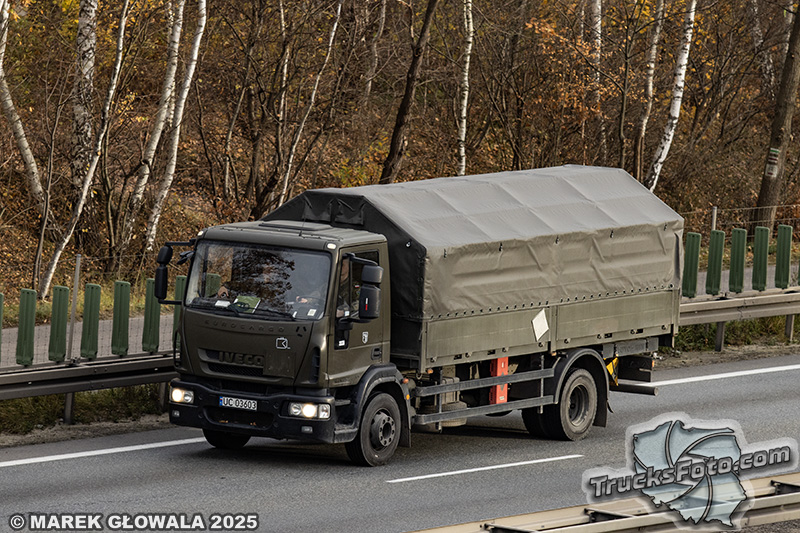 Iveco Eurocargo - WP.jpg