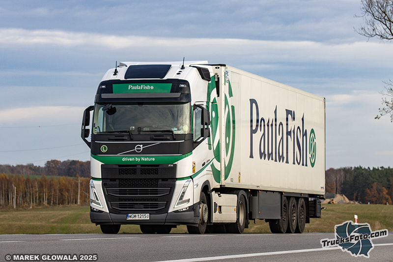 Volvo FH5 - Paula Fish.jpg