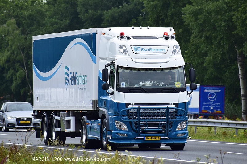 _DSC0942 FISH PARTNERS-crop-DAF CF.JPG