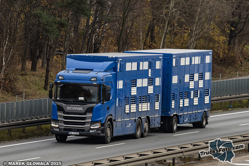 Scania G450 - Zakład Uboju Bydła Biskupiec.jpg