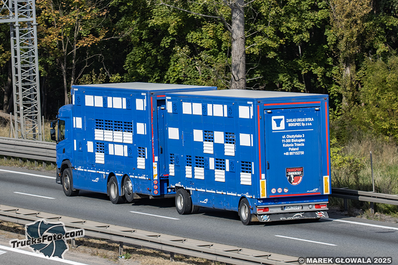 Scania G450 Zakład Uboju Bydła Biskupiec.jpg