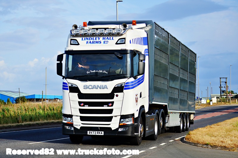 DSC_2837 LINDLEY HALL FARMS LTD.JPG