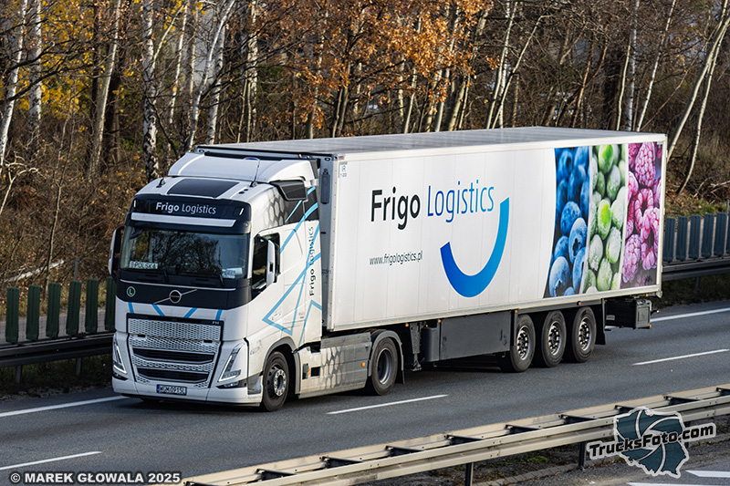 Volvo FH5 - Frigo Logistics.jpg