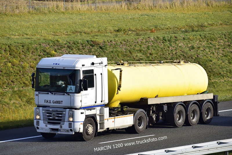 _DSC4463 F.H.U.GAMBIT-crop-RENAULT MAGNUM.JPG