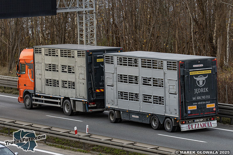 DAF XF105 - Jędrek Kowale.jpg