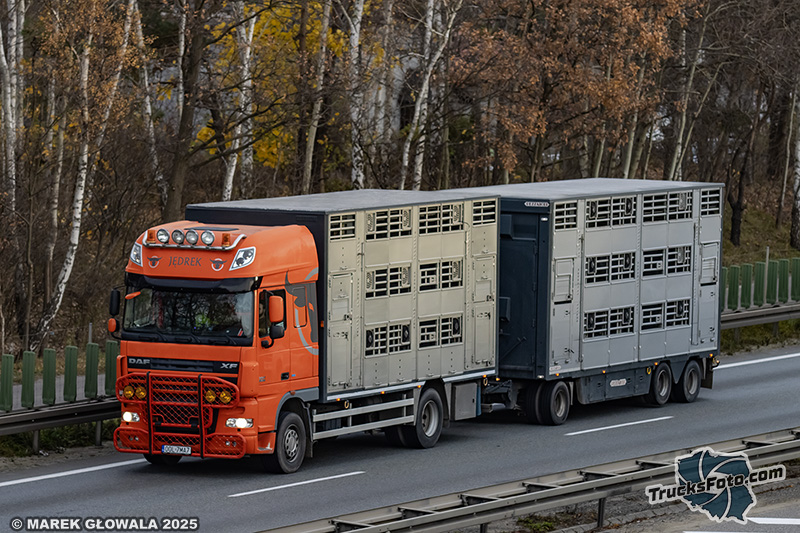 DAF XF105 - Jędrek.jpg
