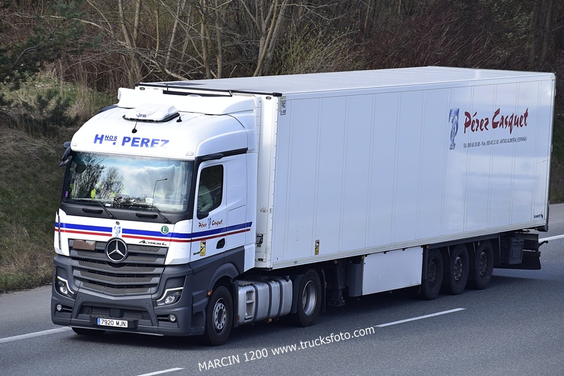 H NOS PEREZ-crop-ActrosL MP5.JPG