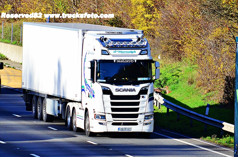 DSC_1194 O'Tiarnaigh.JPG