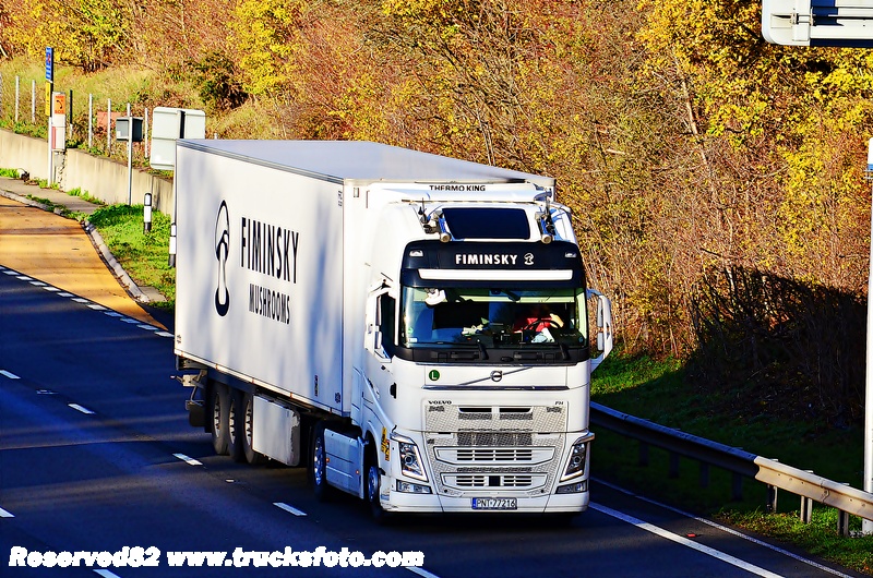 DSC_0009 Fiminsky.JPG