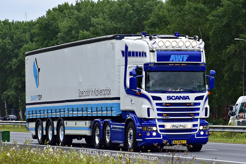 _DSC0810 AWF-crop-SCANIA R560 V8.JPG