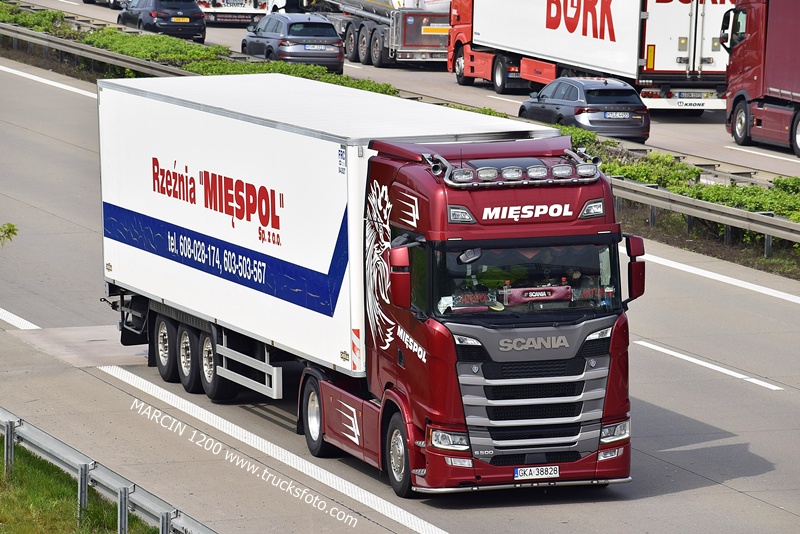 _DSC4568 MIĘSPOL-crop-SCANIA S500.JPG