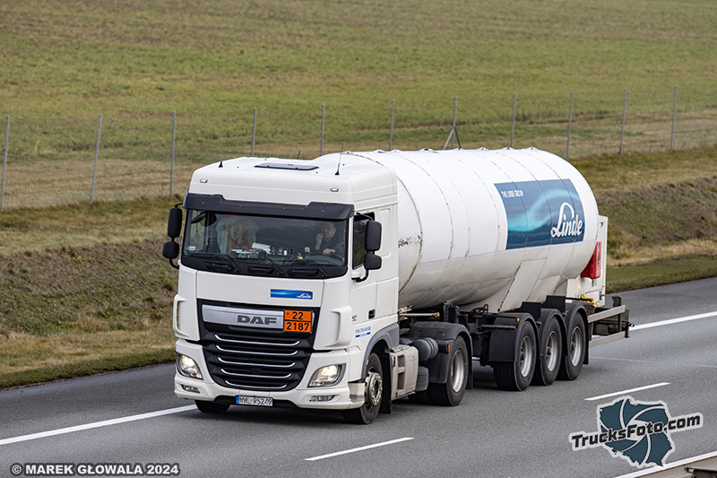 DAF XF Poltrans.jpg