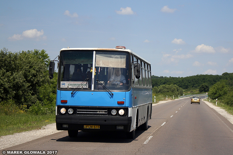 Ikarus  256.jpg