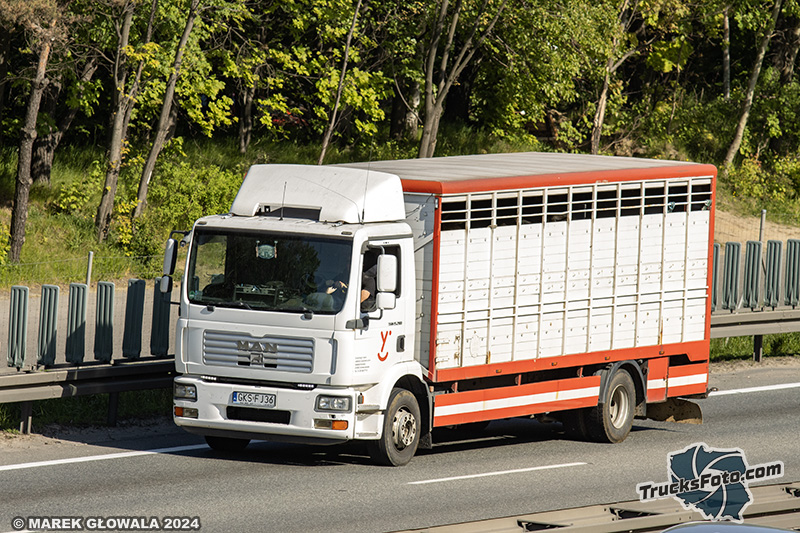 MAN TGM ex. Ernsting.jpg