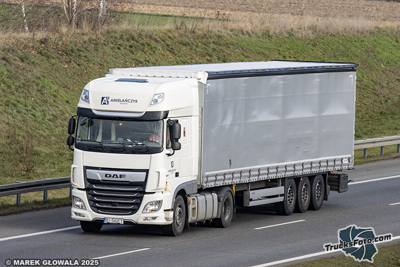 DAF XF - Amielańczyk.jpg