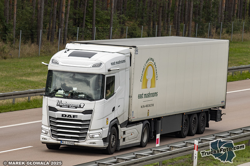 DAF XG - East Mushrooms.jpg