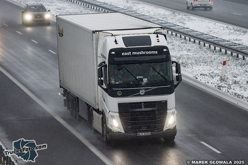 Volvo FH5 - East Mushrooms.jpg