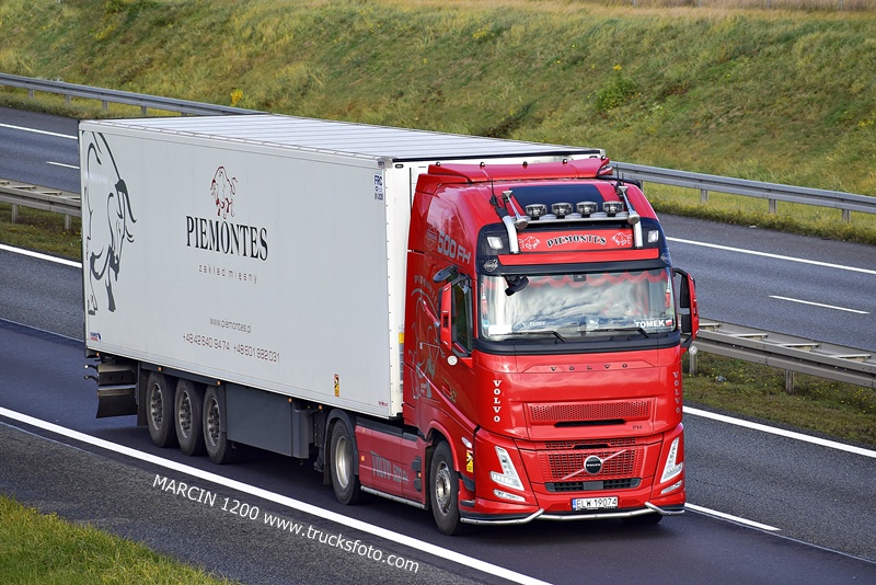 _DSC4826 Piemontes-crop-VOLVO FH AERO.JPG