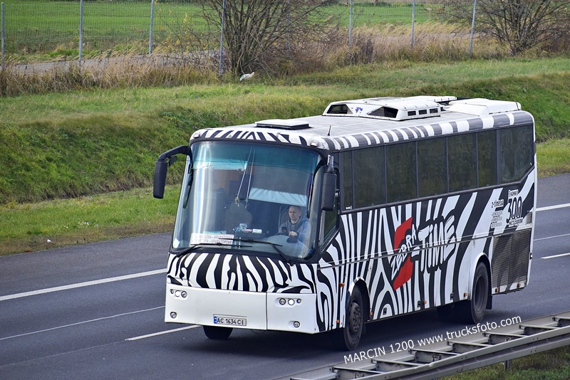 _DSC5483 BOVA-crop-Futura-ZEBRA TIME.JPG