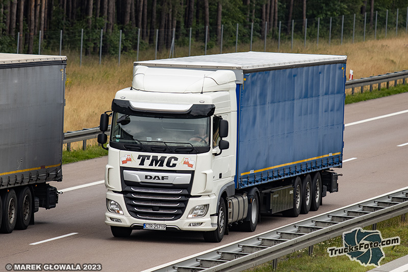 DAF - TMC.jpg