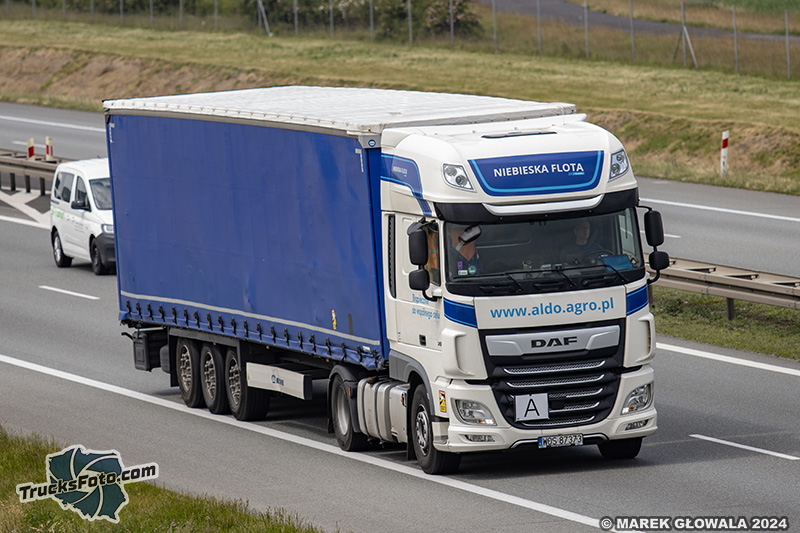 DAF XF - Aldo.jpg