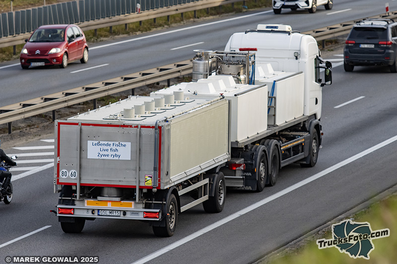 Scania - lebende fische.jpg