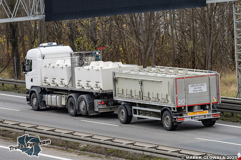 Scania R450 Żywe ryby.jpg