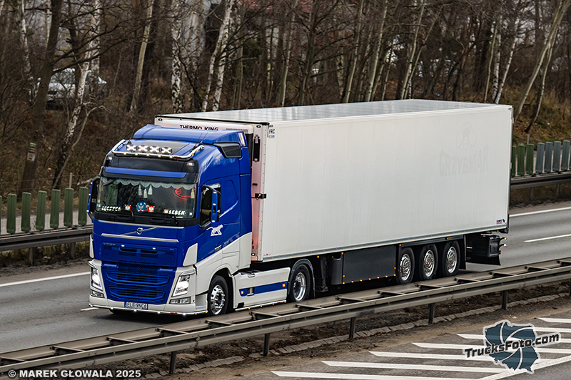 Volvo FH4 Sebek.jpg