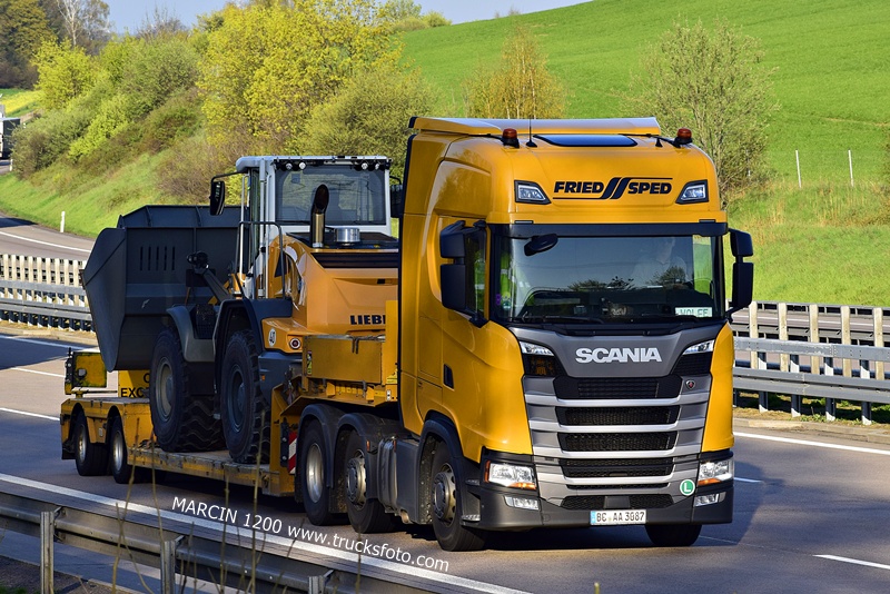 _DSC2658 FRIED SPED-crop-SCANIA S.JPG