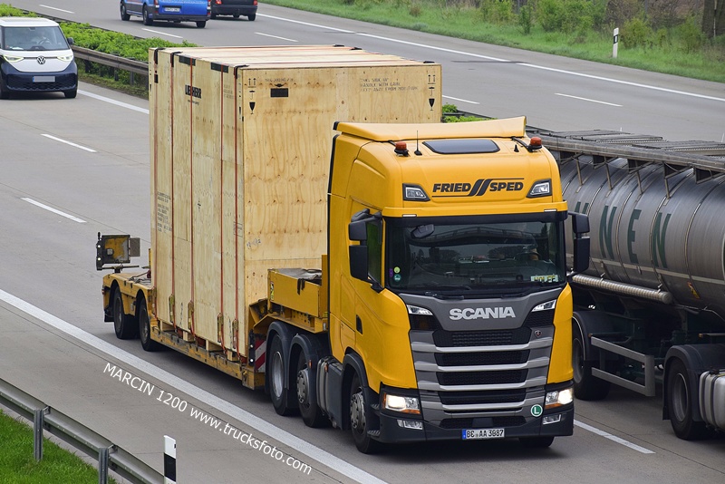 _DSC4100 FRIED SPED-crop-SCANIA S.JPG